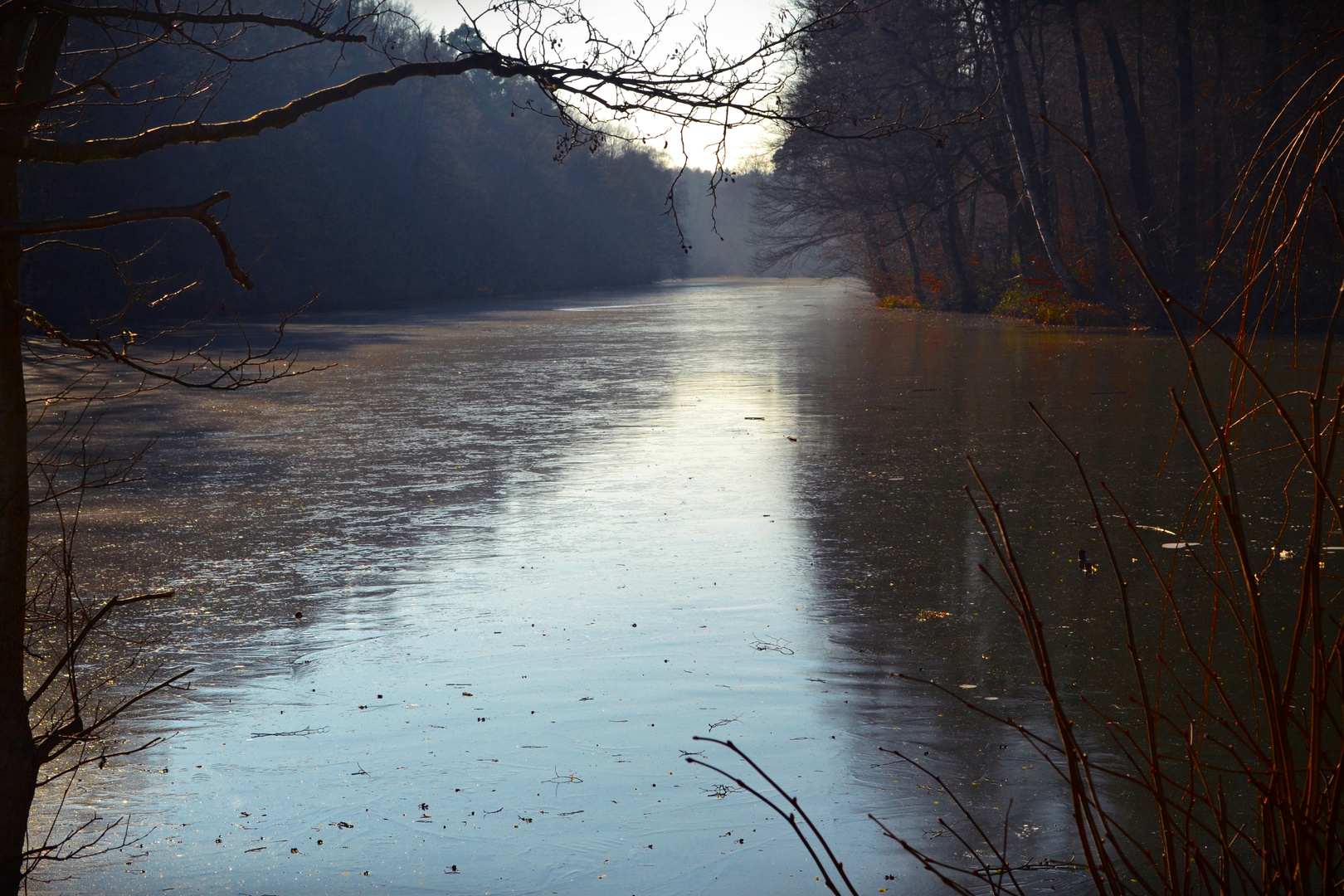 ~~~ Winterruhe am Hammerwoog ~~~