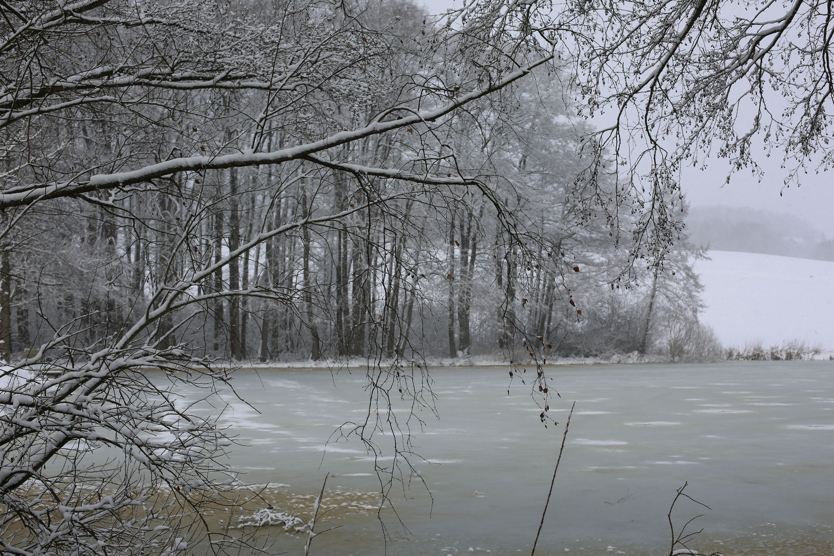 Winterruhe am Karpfenteich