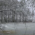 Winterruhe am Karpfenteich