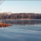 Winterruhe am Neumühler See