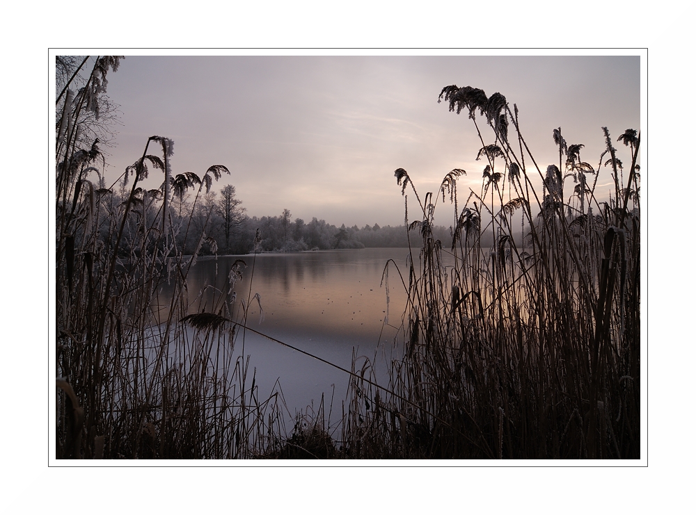 Winterruhe am See III