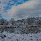 Winterruhe am Tümpel