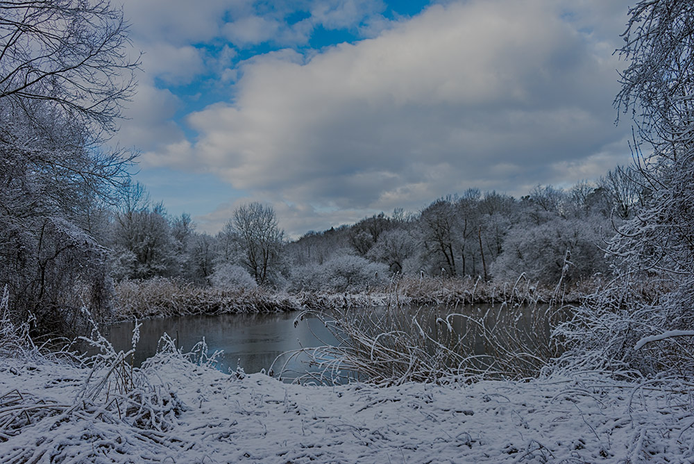 Winterruhe am Tümpel