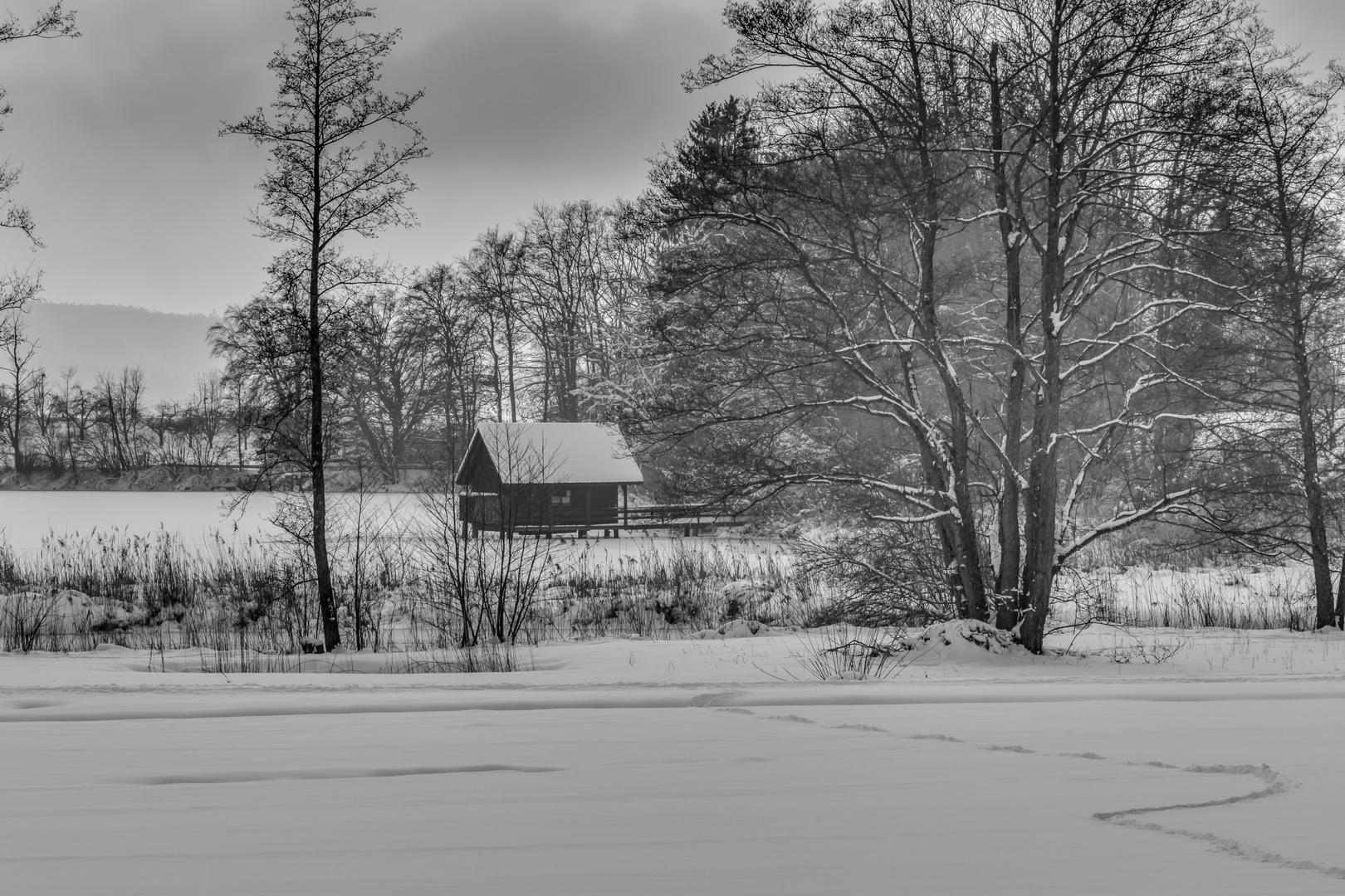 Winterruhe am Weiher I