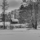 Winterruhe am Weiher I