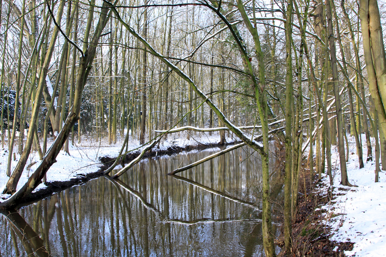 Winterruhe an der Erft