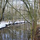 Winterruhe an der Erft