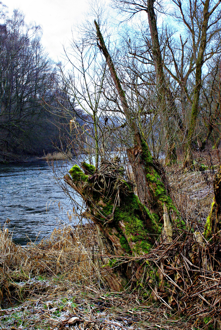 Winterruhe an der Ruhr