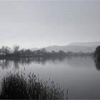 Winterruhe an der Weser