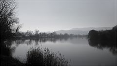 Winterruhe an der Weser