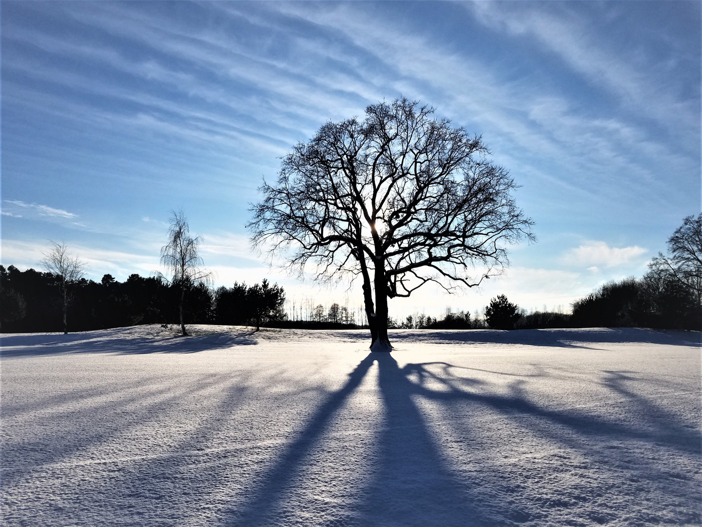 Winterruhe auf dem Golfplatz