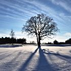 Winterruhe auf dem Golfplatz