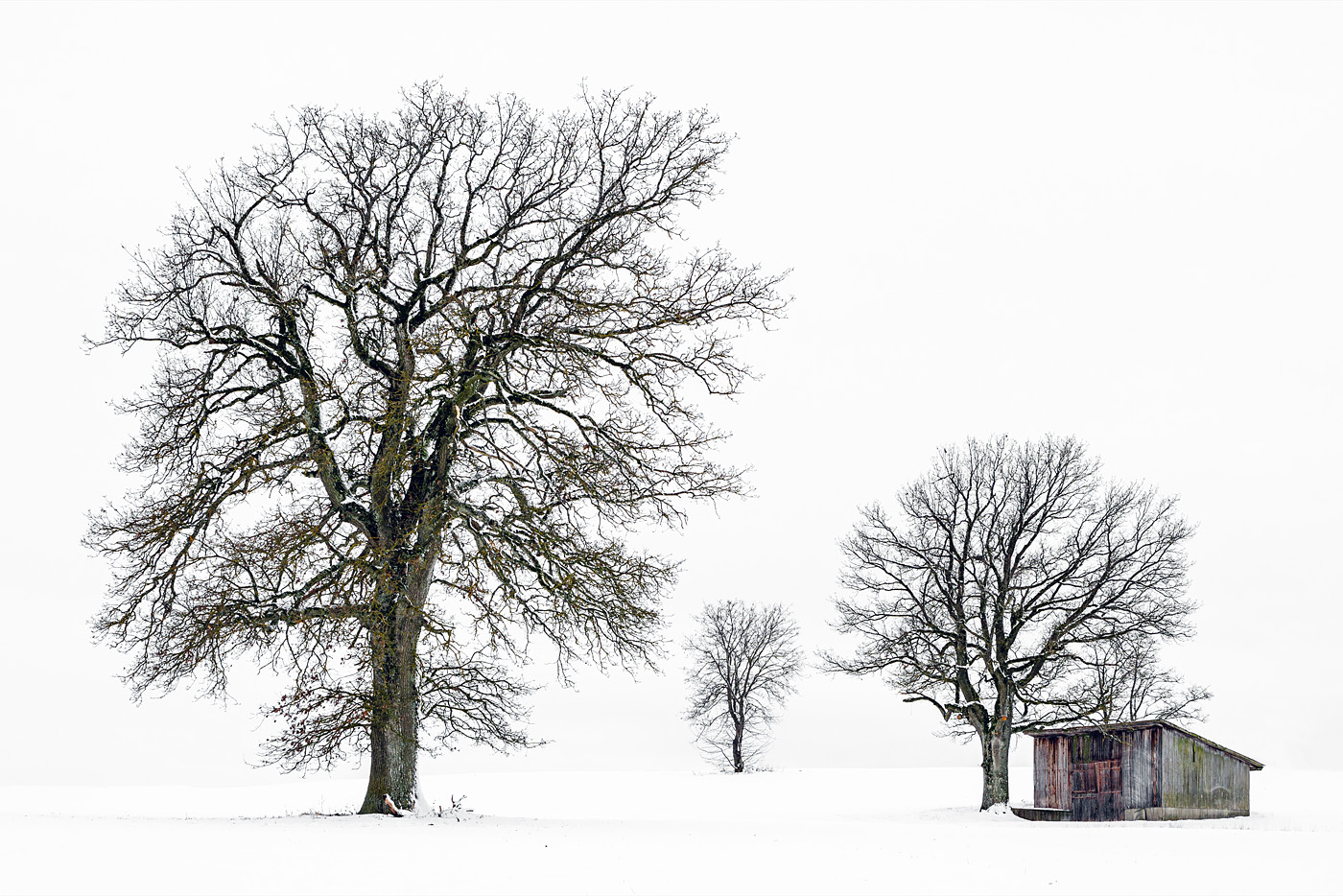 Winterruhe