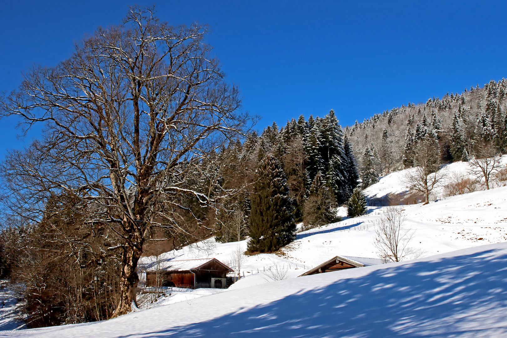 Winterruhe bei den leerstehenden Stadeln