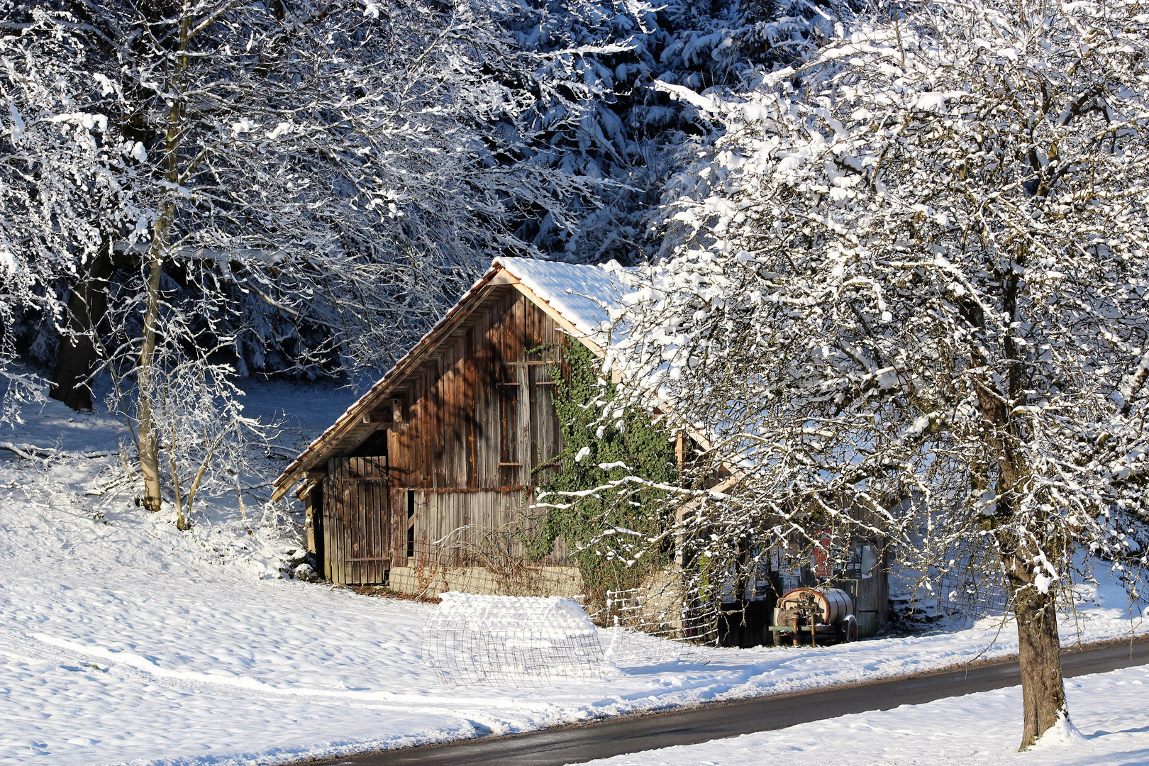 Winterruhe