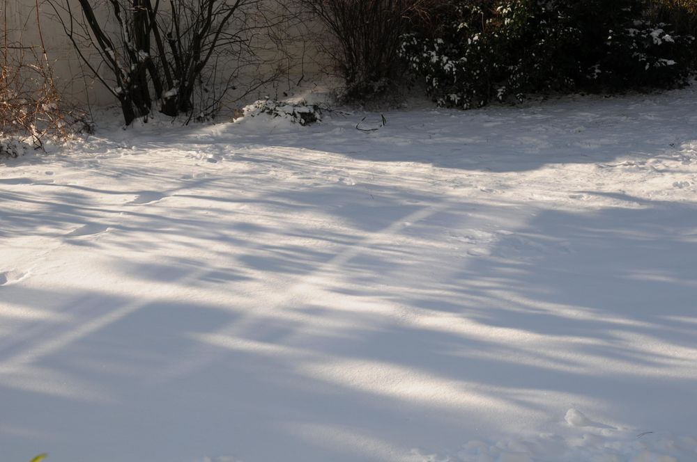 Winterruhe von Ruhrfjords 