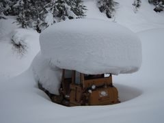 Winterruhe für die Waldarbeiter von Davos