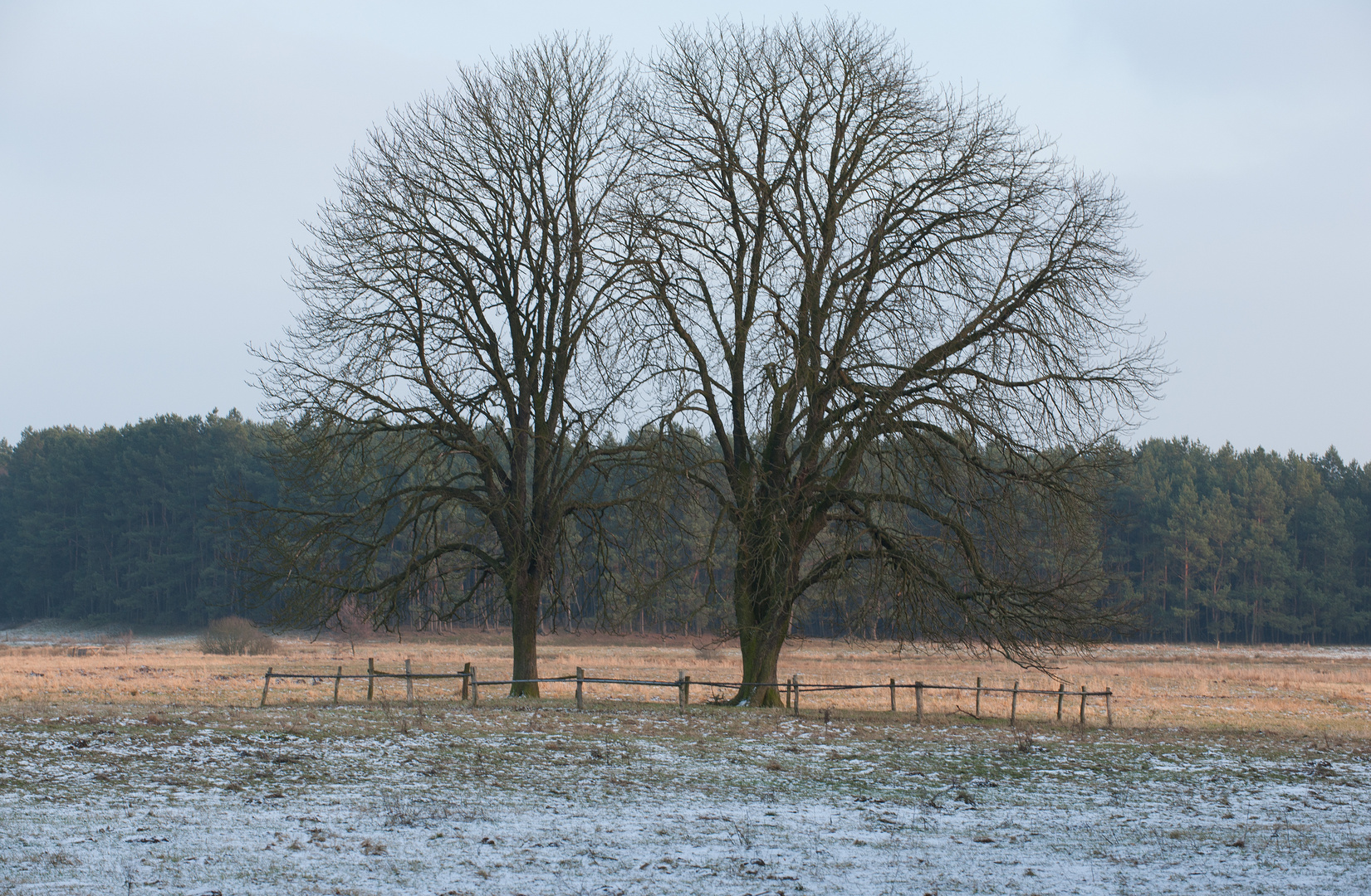 Winterruhe ( II.)