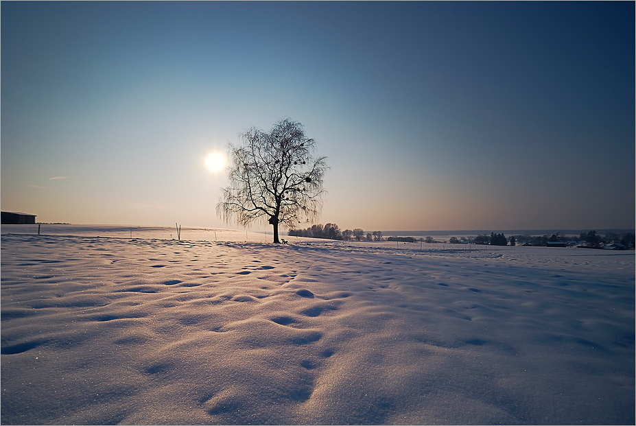 Winterruhe im Ayinger Land 2