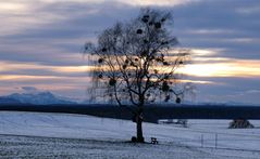 Winterruhe im Ayinger Land