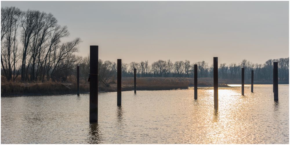 Winterruhe im Hafen Haseldorf