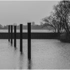 Winterruhe im Hafen Hetlingen