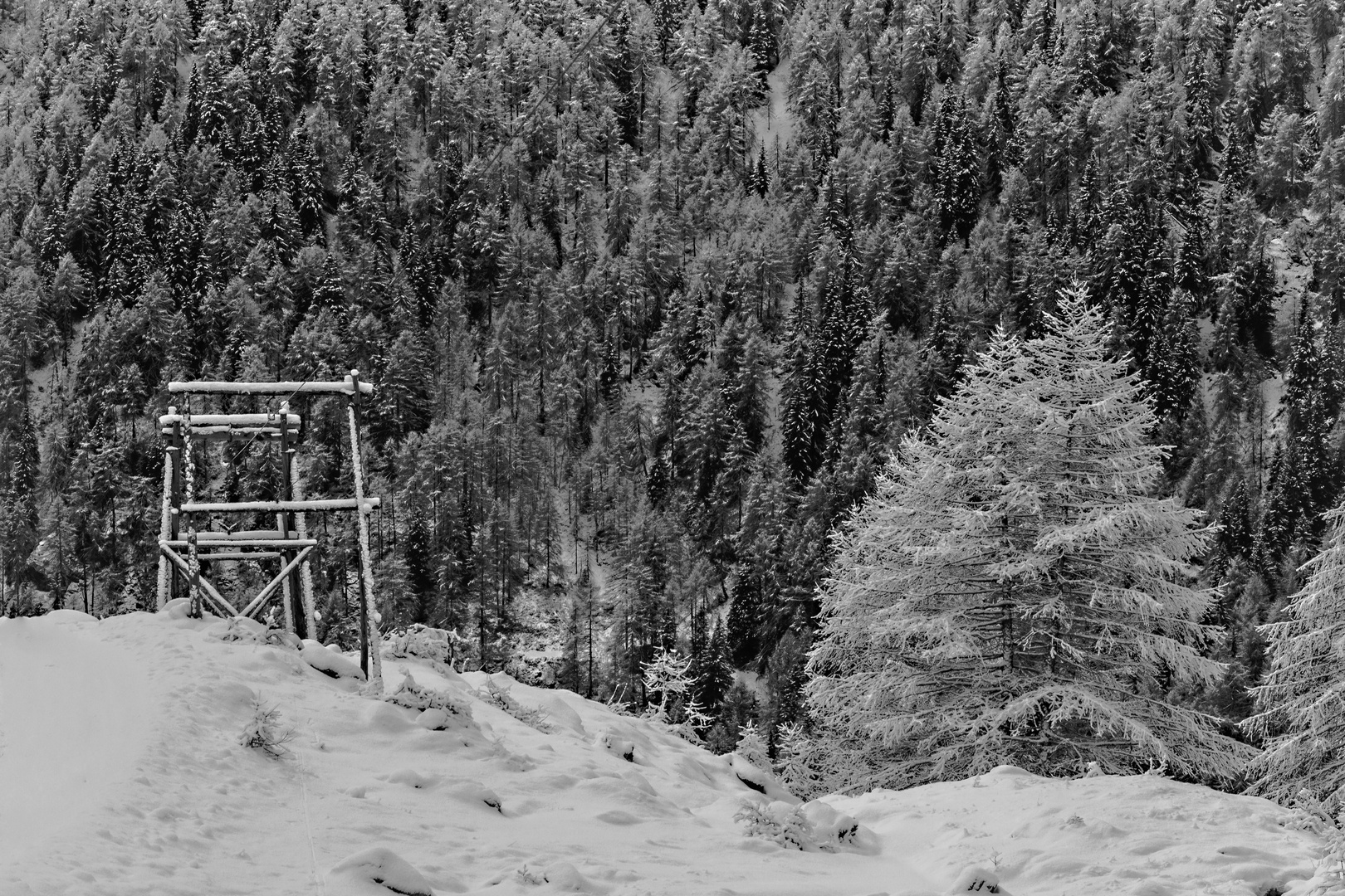 Winterruhe im Hochgebirge