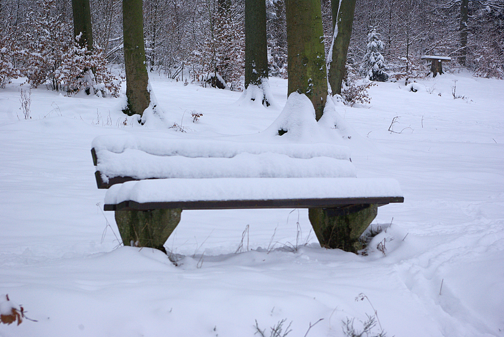 Winterruhe im Hochsauerland