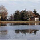 Winterruhe im Wörlitzer Park