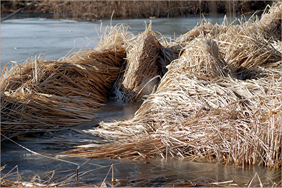 Winterruhe.... noch...