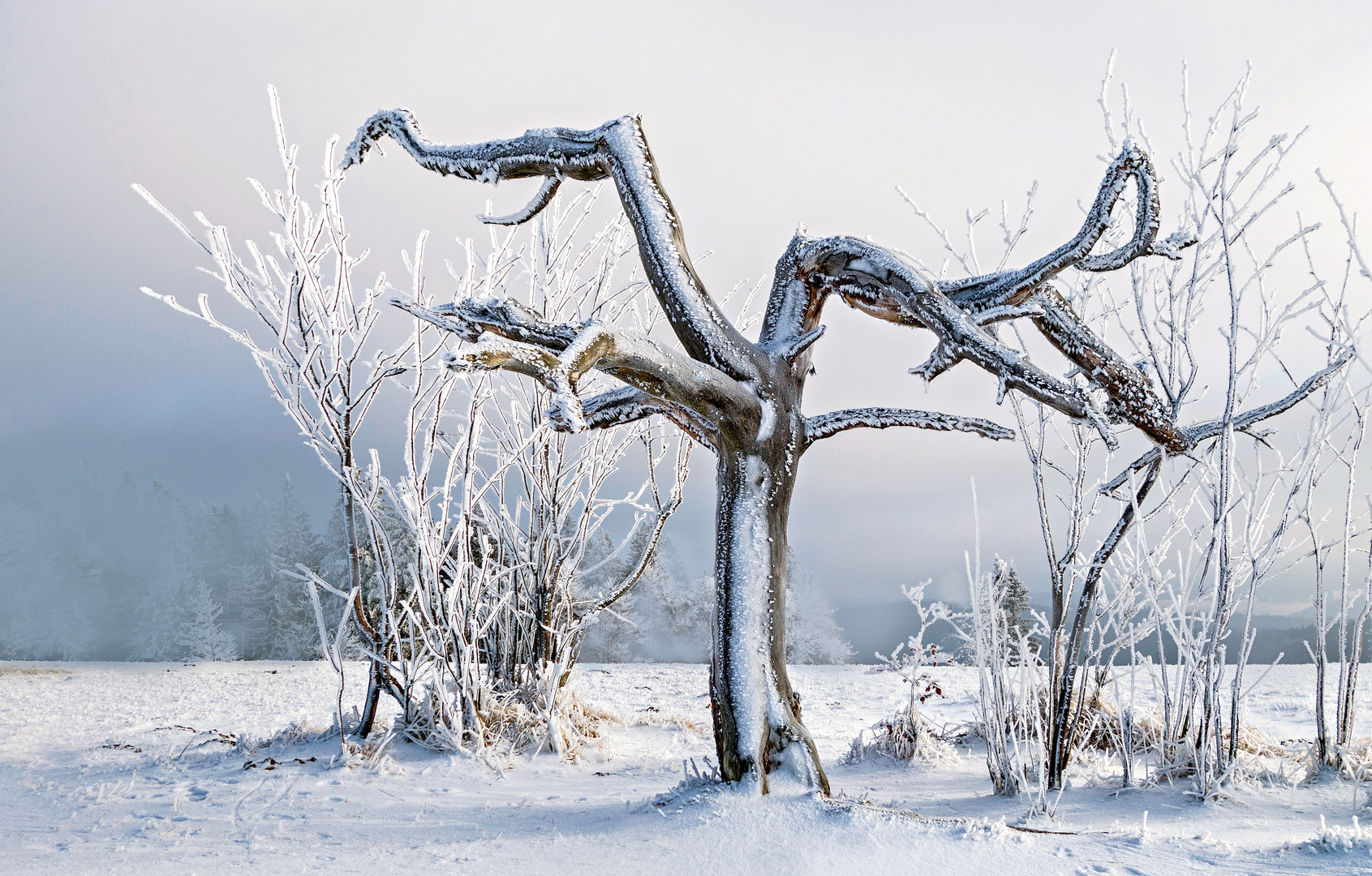 winters end Foto & Bild deutschland, europe, baden württemberg