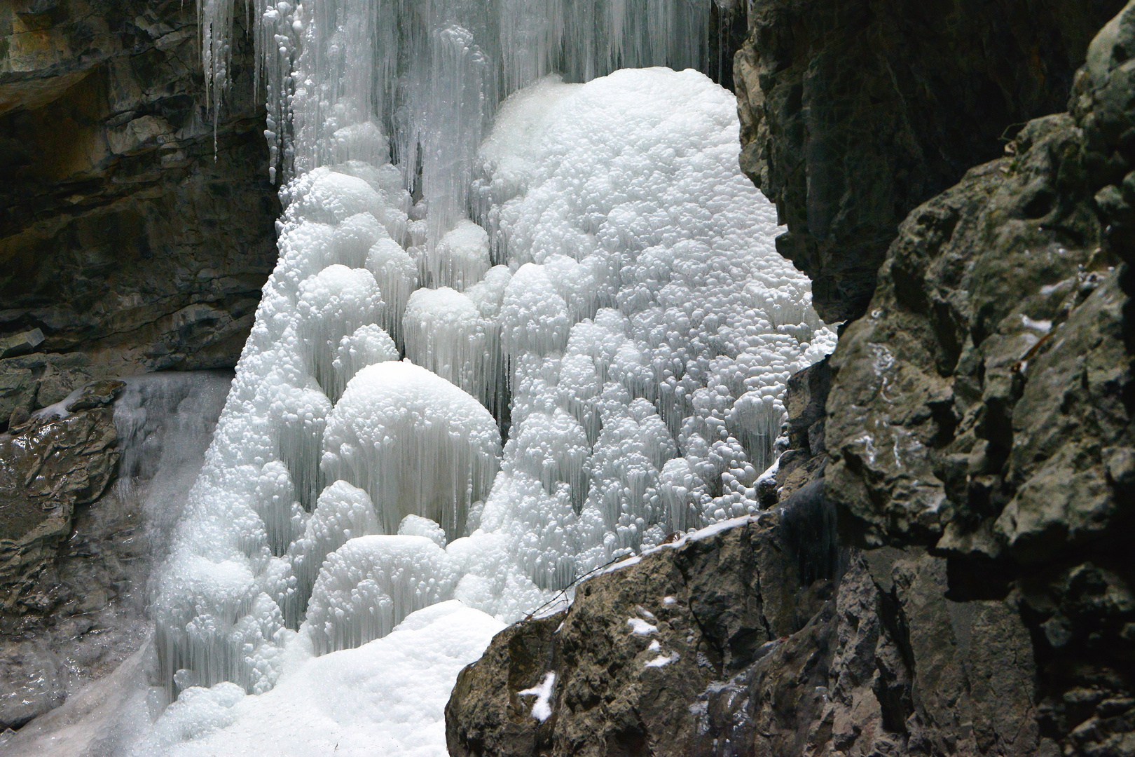 Winter`s flowers on the rocks