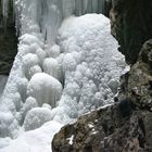 Winter`s flowers on the rocks