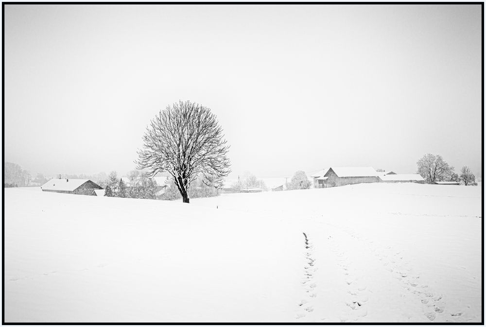 Winter's Footprint Trail to Solitude