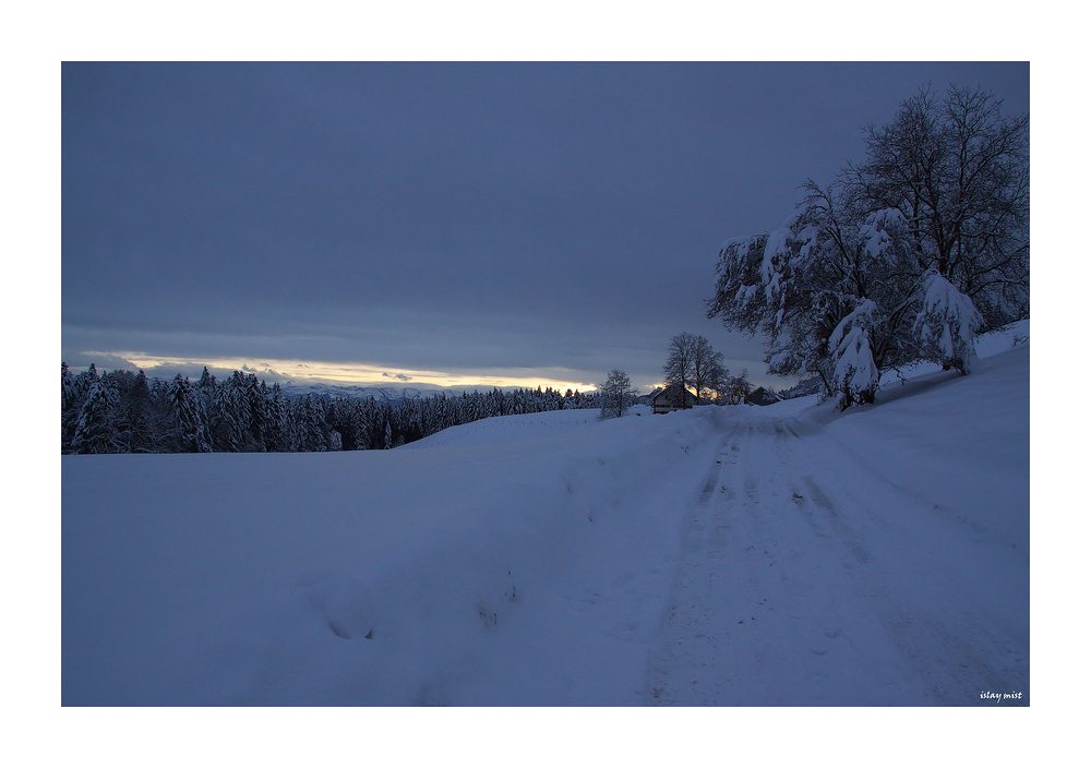 winter's frost has touched my heart....