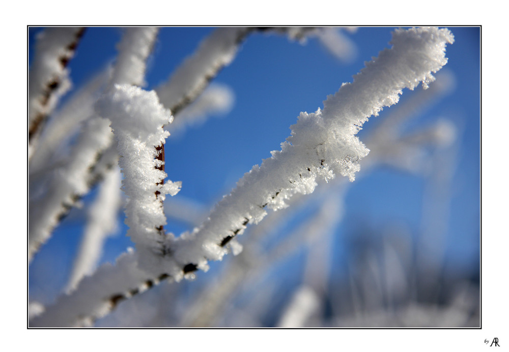 --- winter´s last glance ---