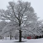 Winters last snowfall