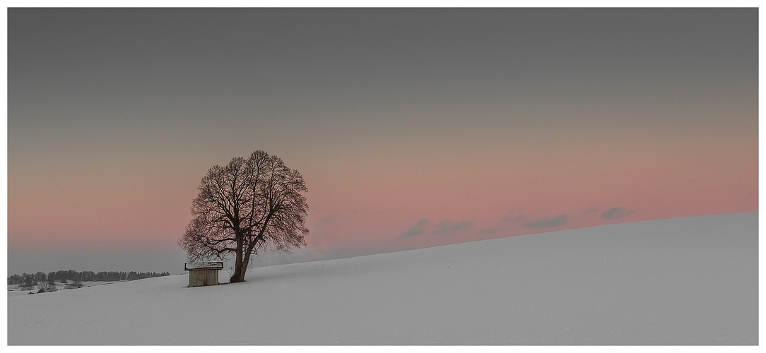 Winters loneliness