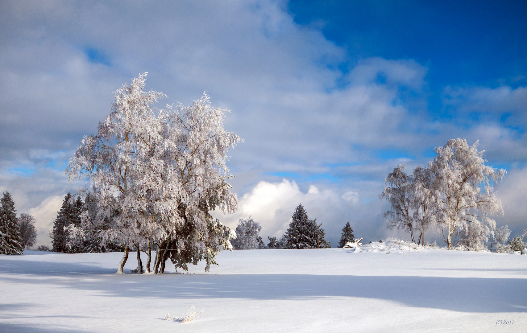 winters paradise