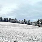 Winters schönste Highlight ist der Schnee