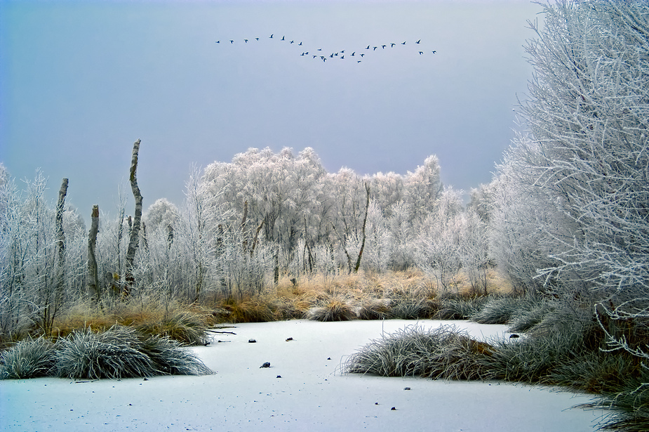 Winter's Tale in the Moor