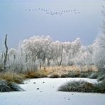 Winter's Tale in the Moor