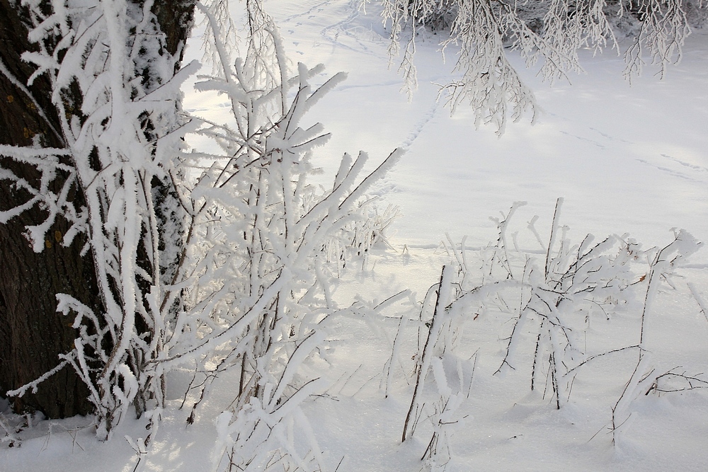 Wintersamstag