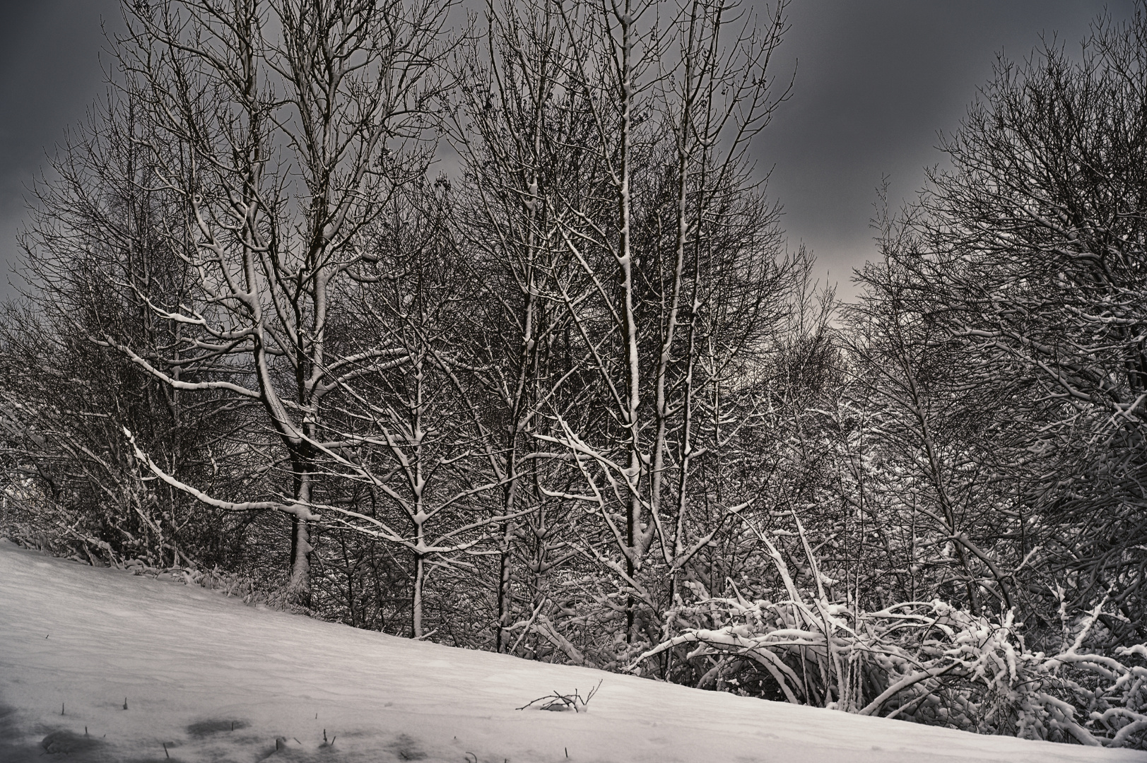 Winterscape 1