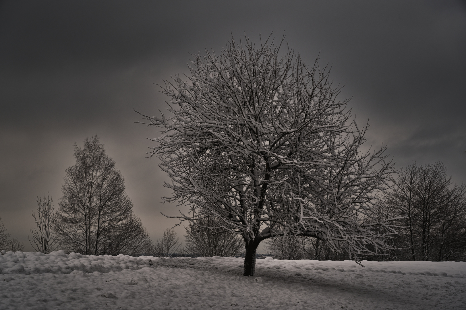 Winterscape 2