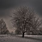 Winterscape 2