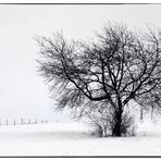 Winterscene in the Eifel 2