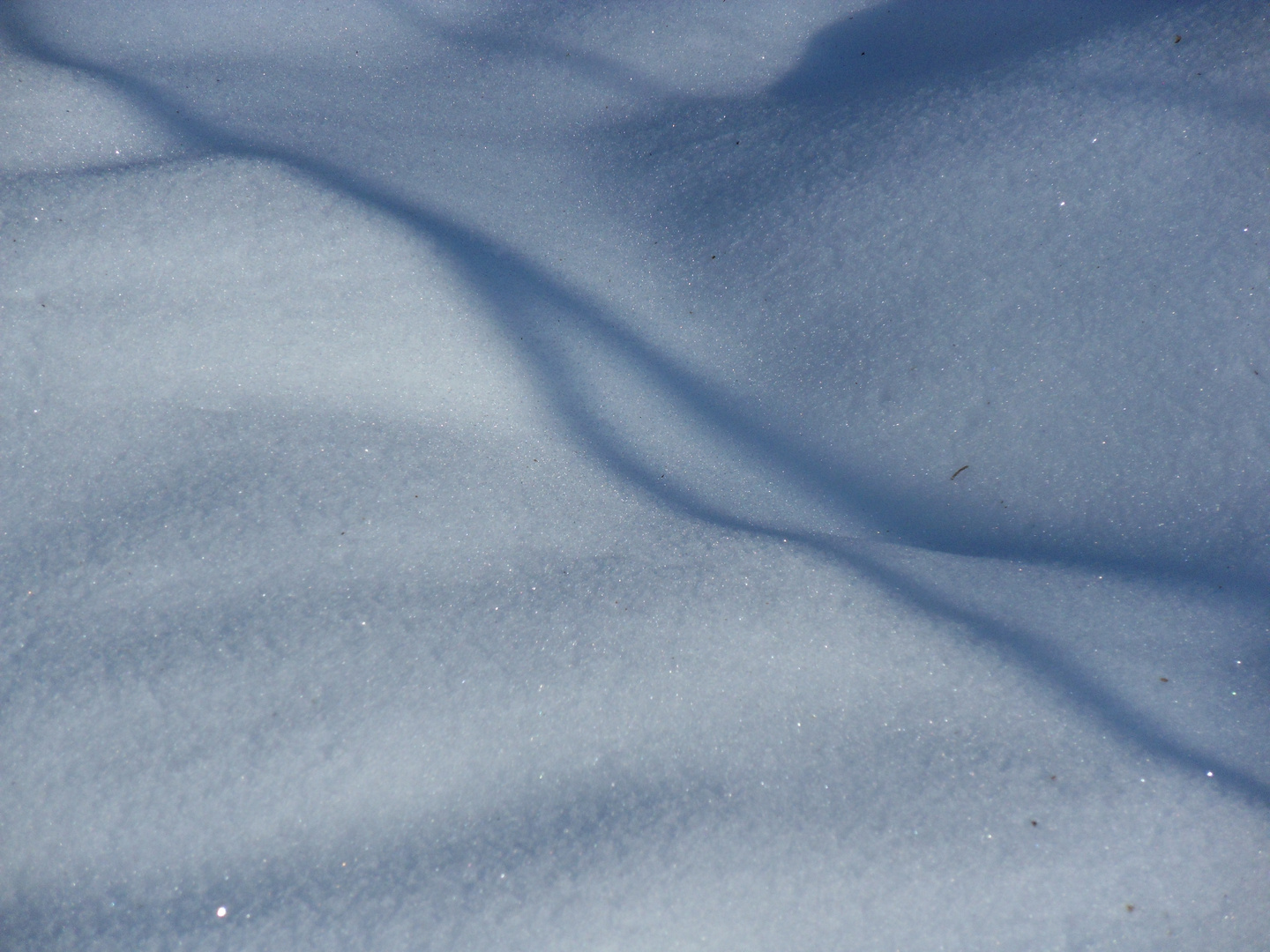 Winterschatten 3