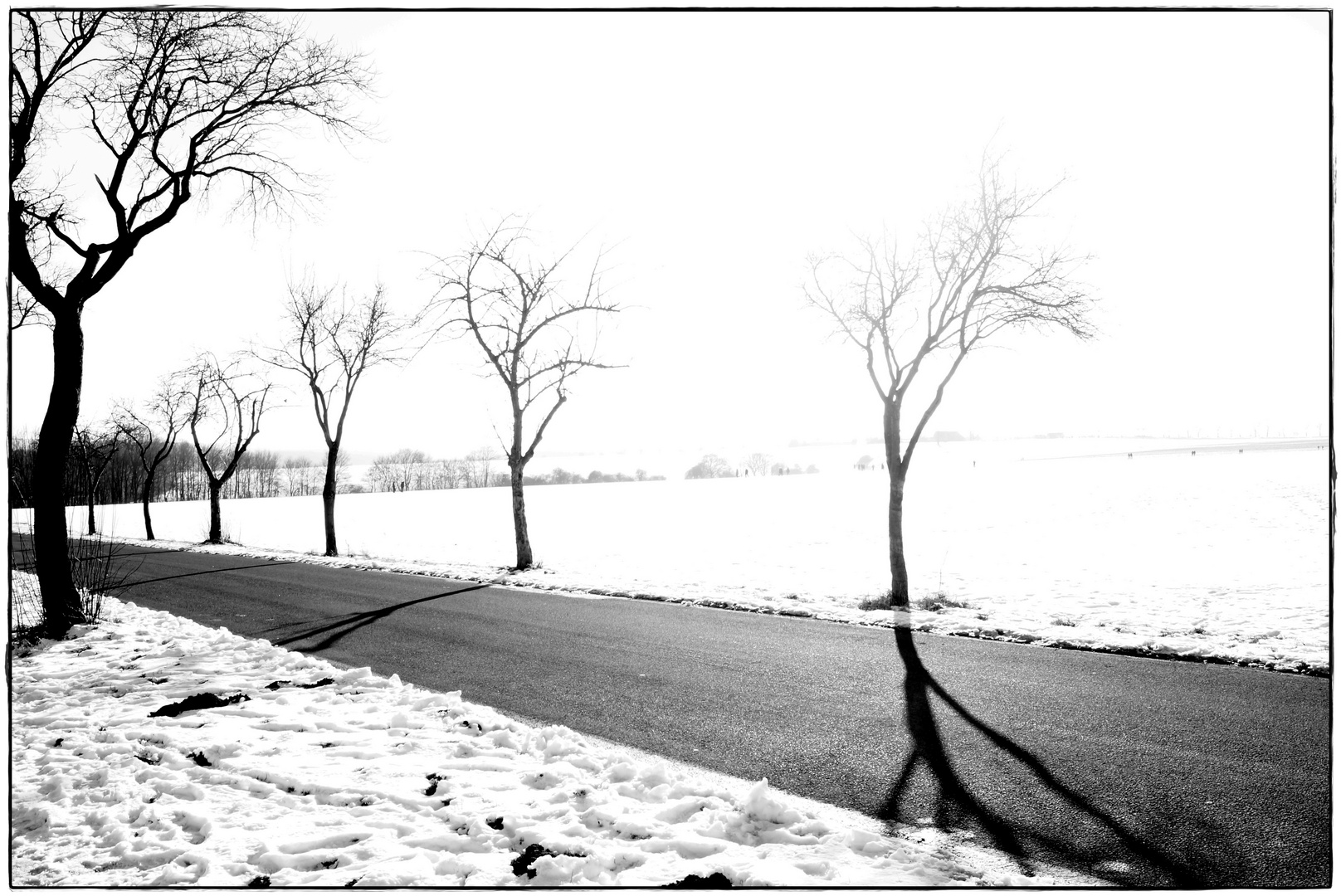 [ Winterschatten ]