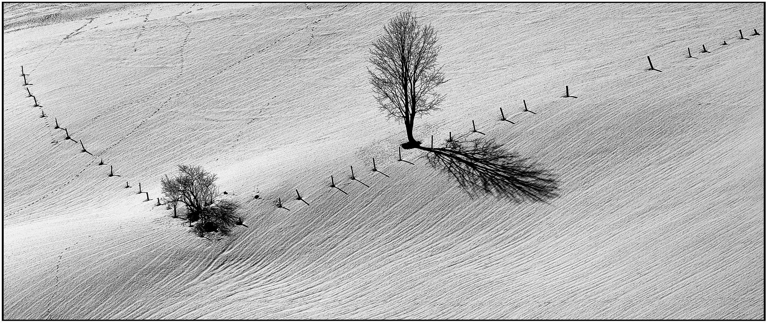 Winterschatten